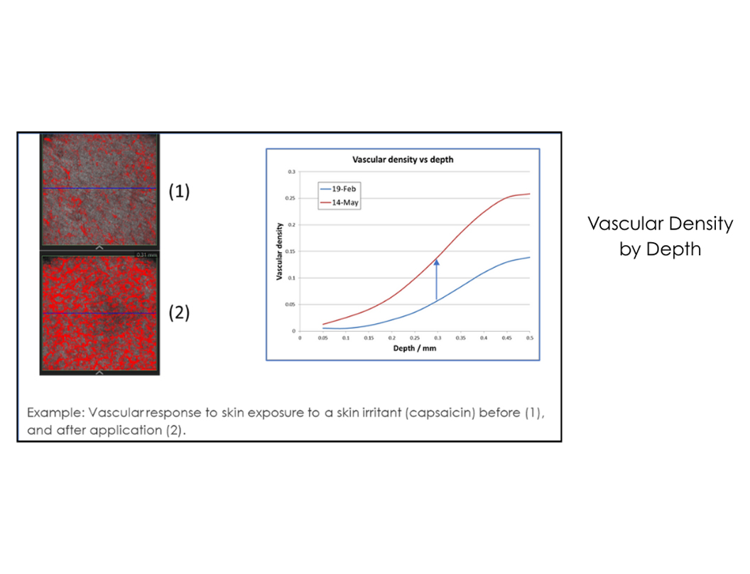 Quantify Vascular Density by depth